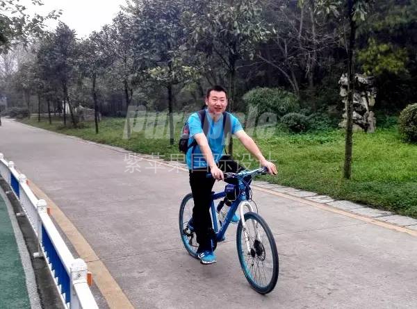 紫蘋果國際設(shè)計