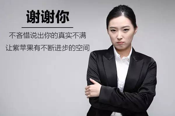 紫蘋(píng)果公司