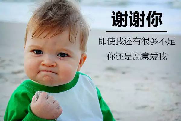 紫蘋(píng)果公司