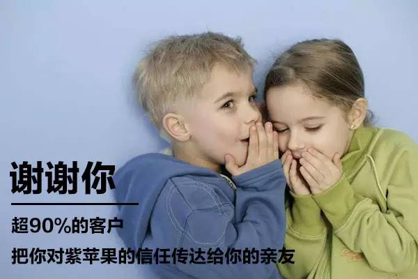 紫蘋(píng)果公司